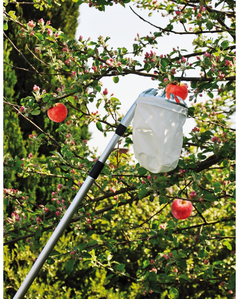 Frugtplukker med teleskopskaft