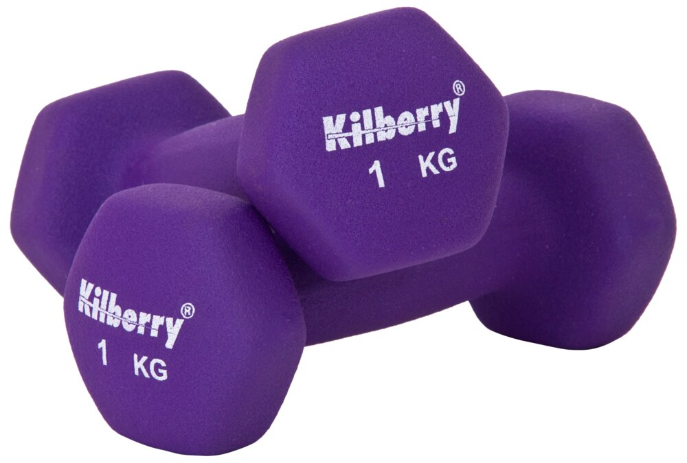Kilberry - Håndvægt lilla 1 kg 2-pak