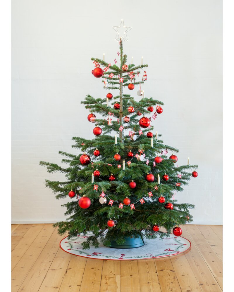 Juletræ Nordmann 150-200 cm