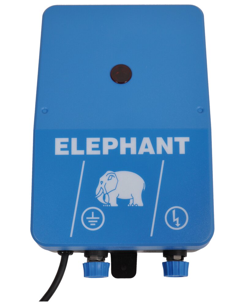 Elephant - M25 elhegn