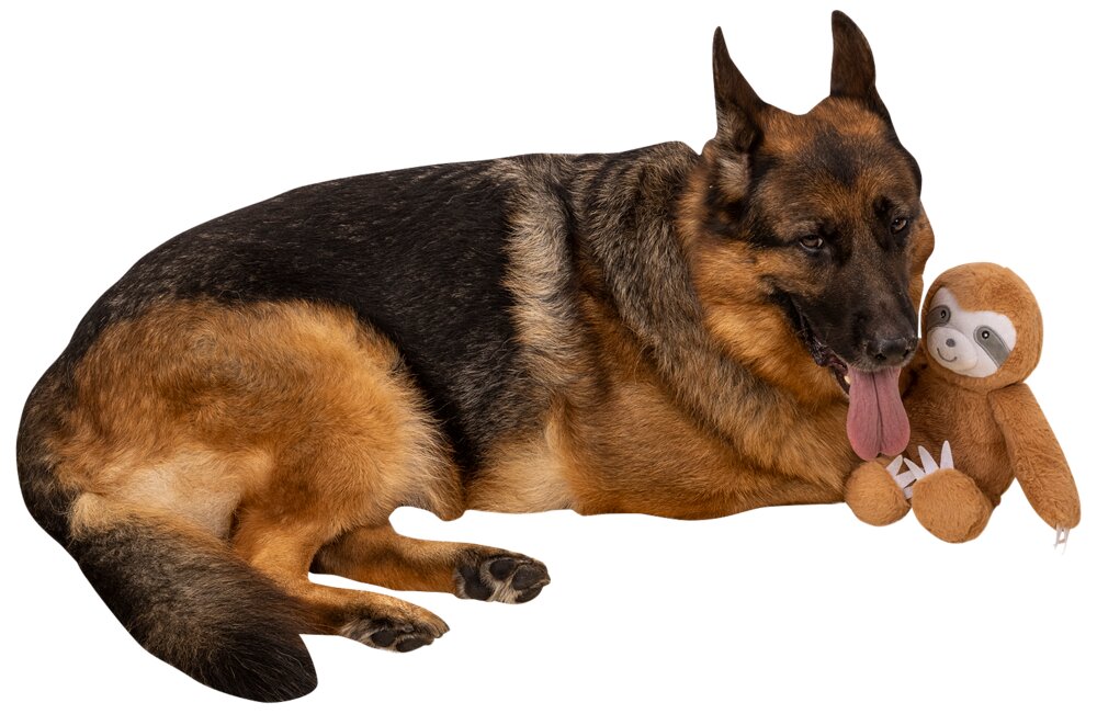 Hundelegetøj dovendyr 44 cm