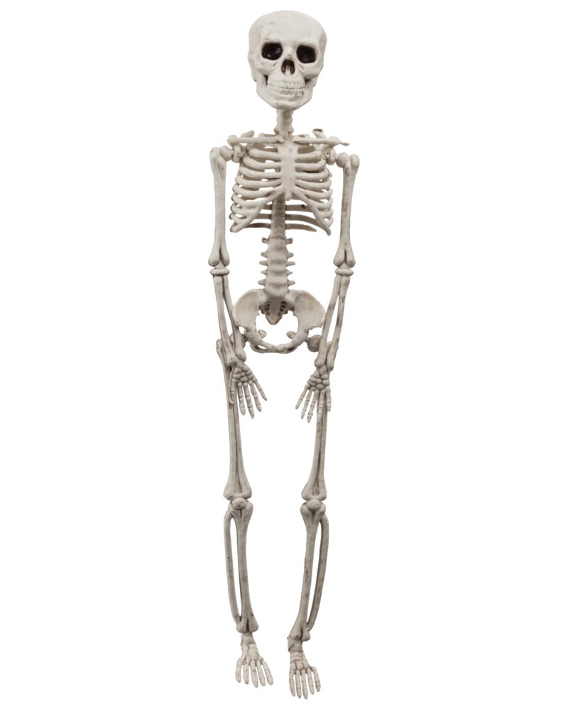 Halloween Skelet 29 cm