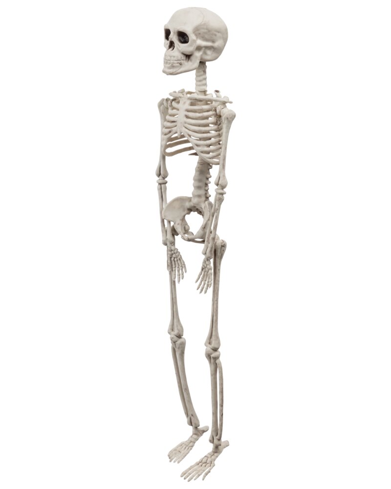 Halloween Skelet 29 cm