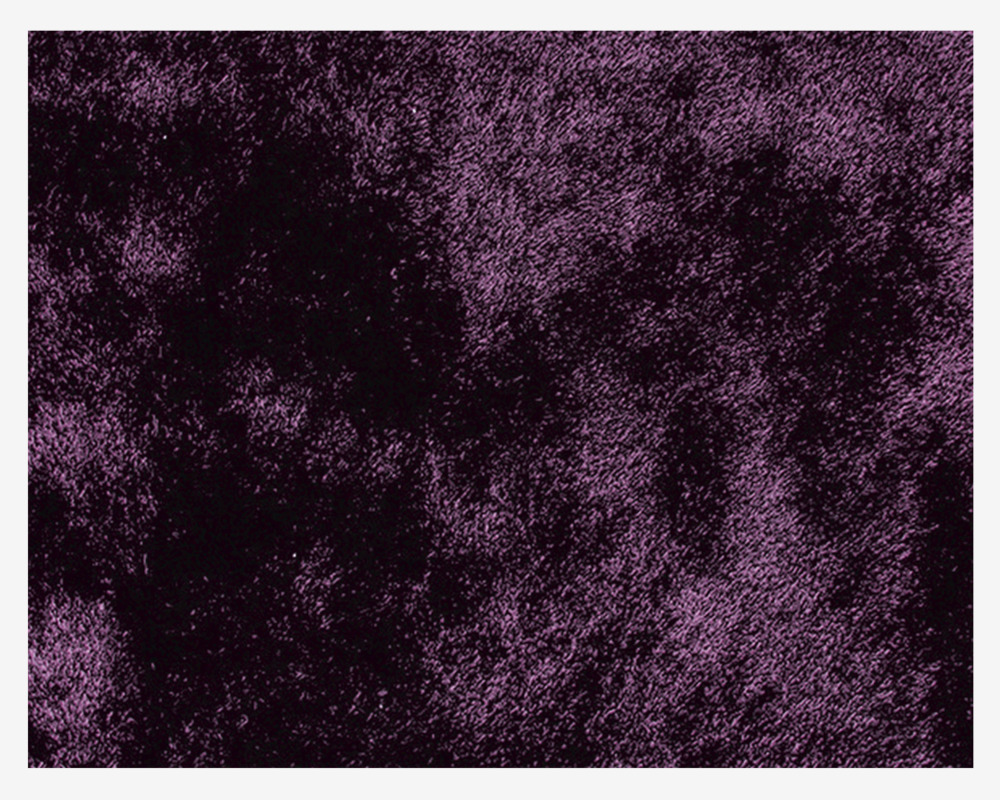 Cozy Tæppe Dark Purple 160x230 cm