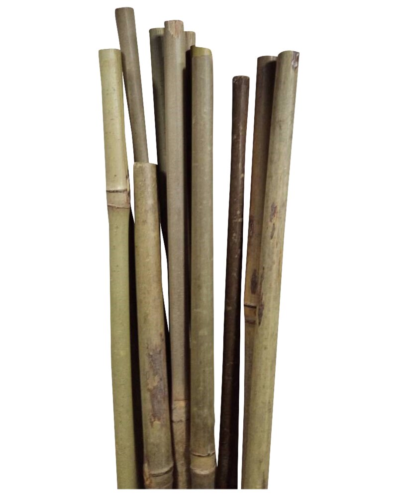 Bambuspinde 120 cm 4-pak
