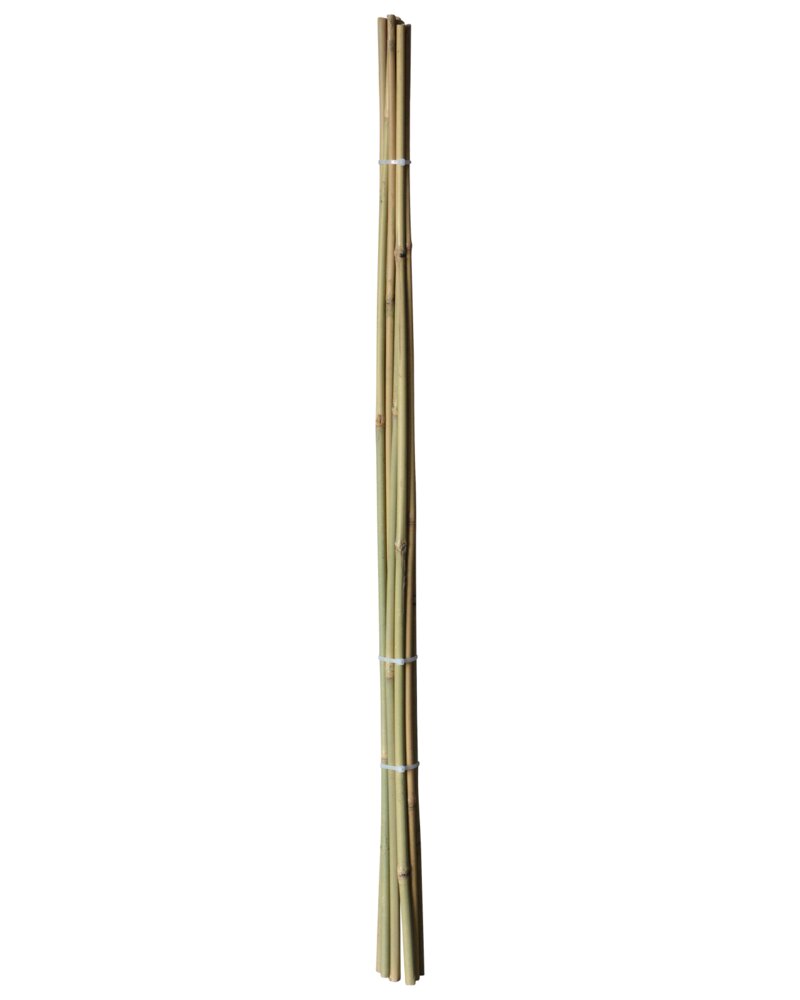 Bambuspinde 150 cm 4-pak