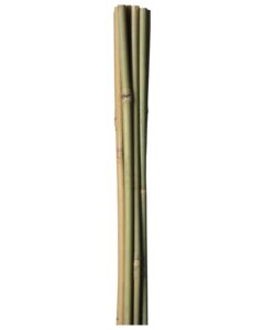 Blompinme bambu 180 cm 4-pack