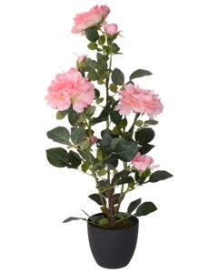 Roser i krukke H. 70 cm