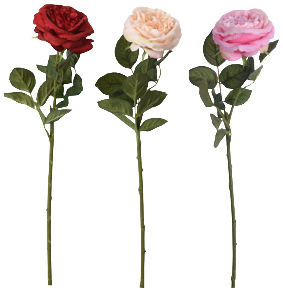 Rose 63 cm - assorterede farver