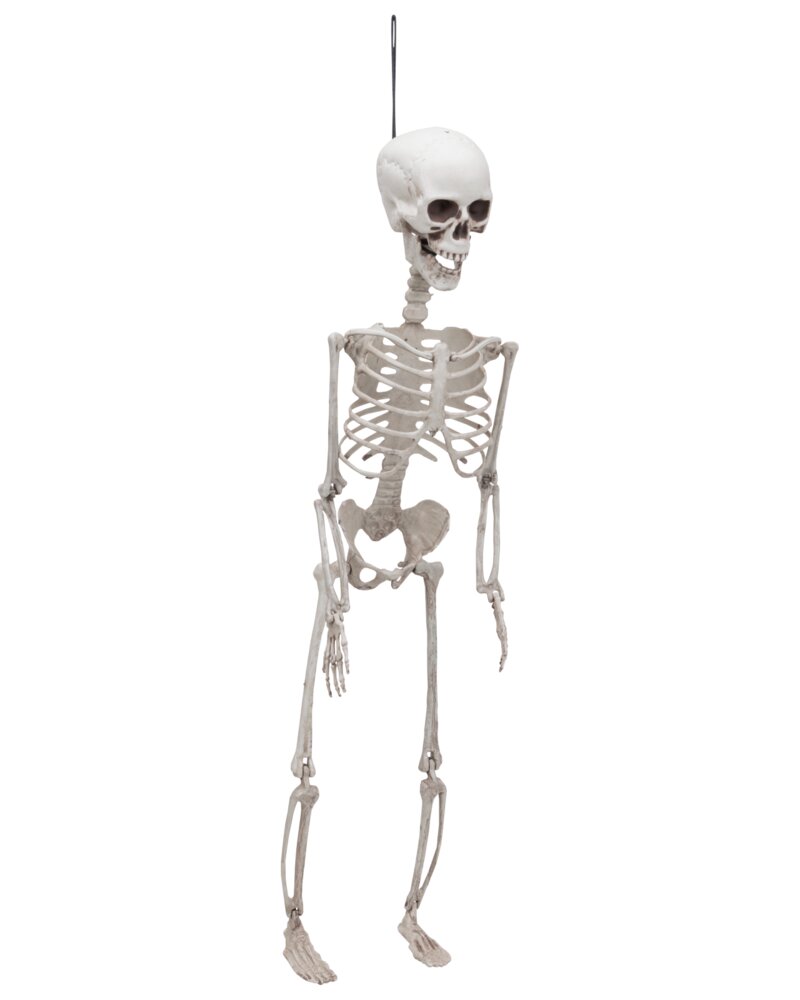 Halloween Skelet 70 cm