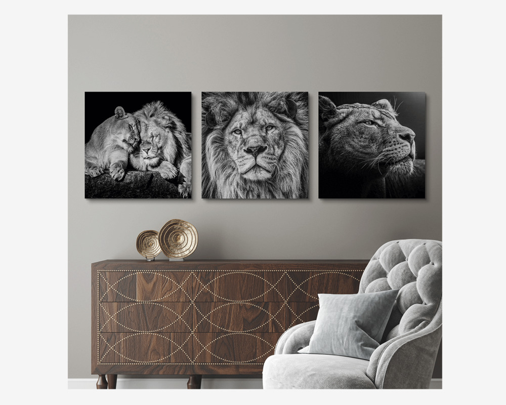 Metal Billede Løve 40 x 40 cm 