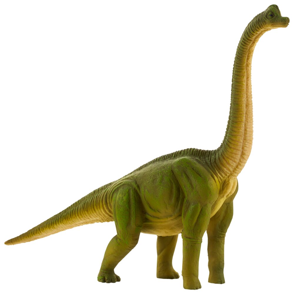 MOJO Dyr Brachiosaurus