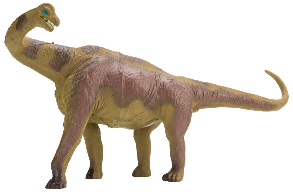 Dino Diplodocusn