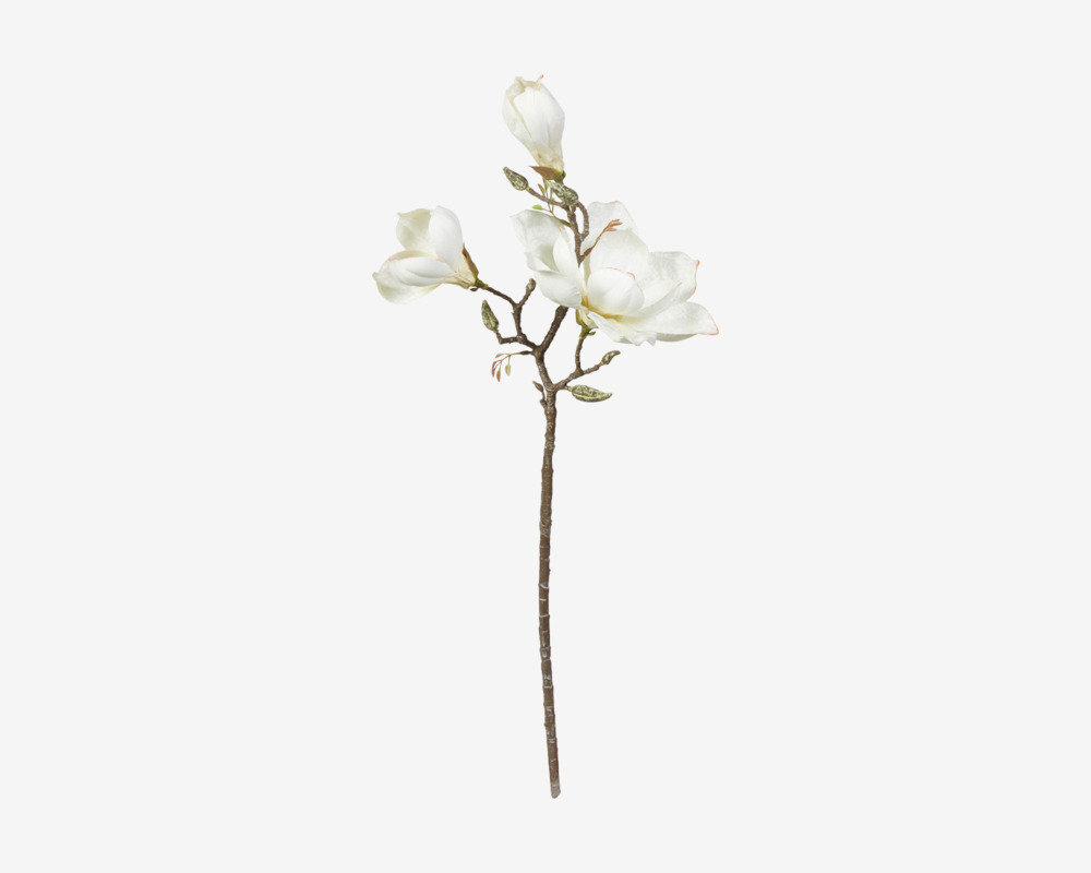 Stilk Magnolia Hvid H.70cm