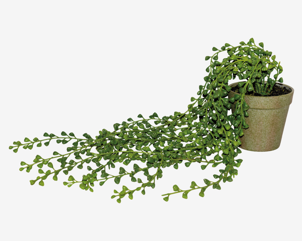 Hænge Plante I Potte L.65cm