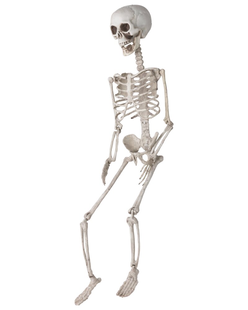 Halloween Skelet med jordspyd H. 74 cm