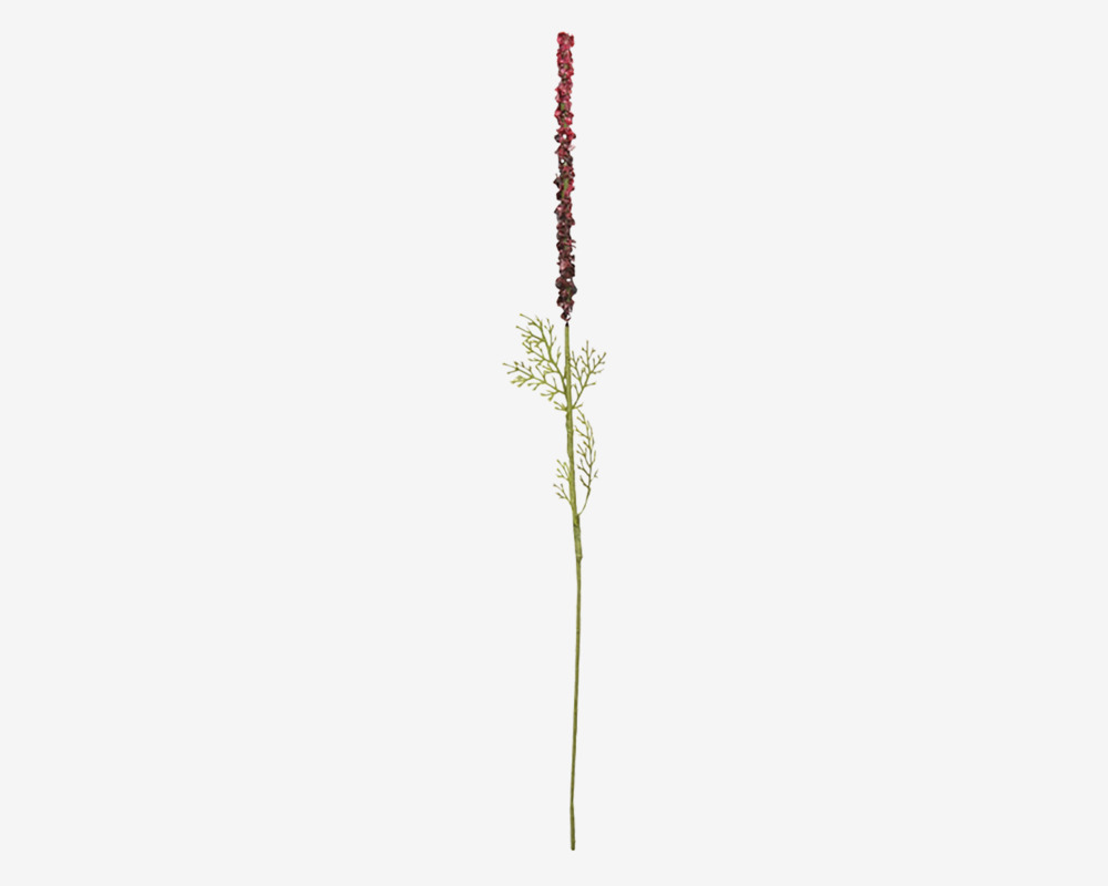 Stilk Ambrosia Grøn/Rød H.50cm