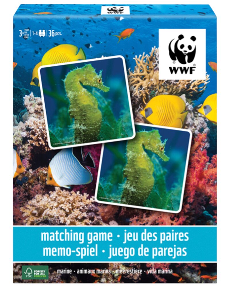 Spel memory WWF