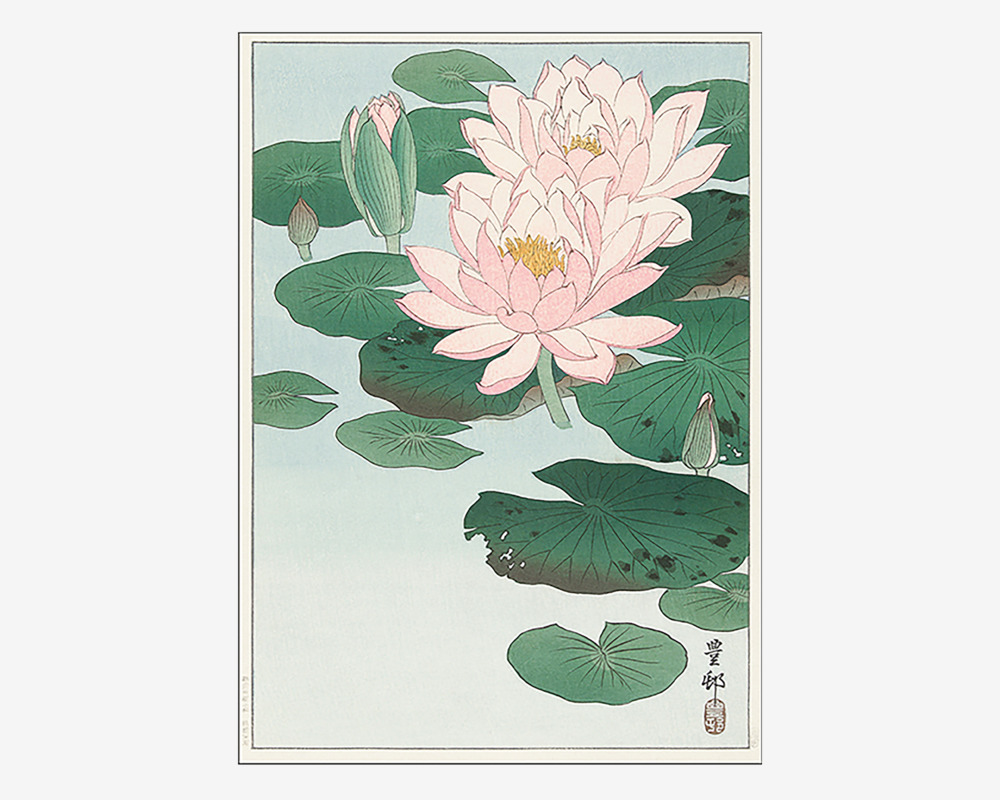 Plakat Waterlilies Japansk 