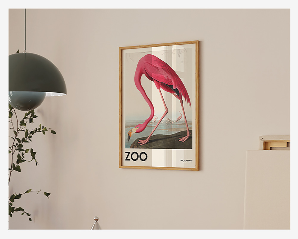 Plakat Pink Flamingo 