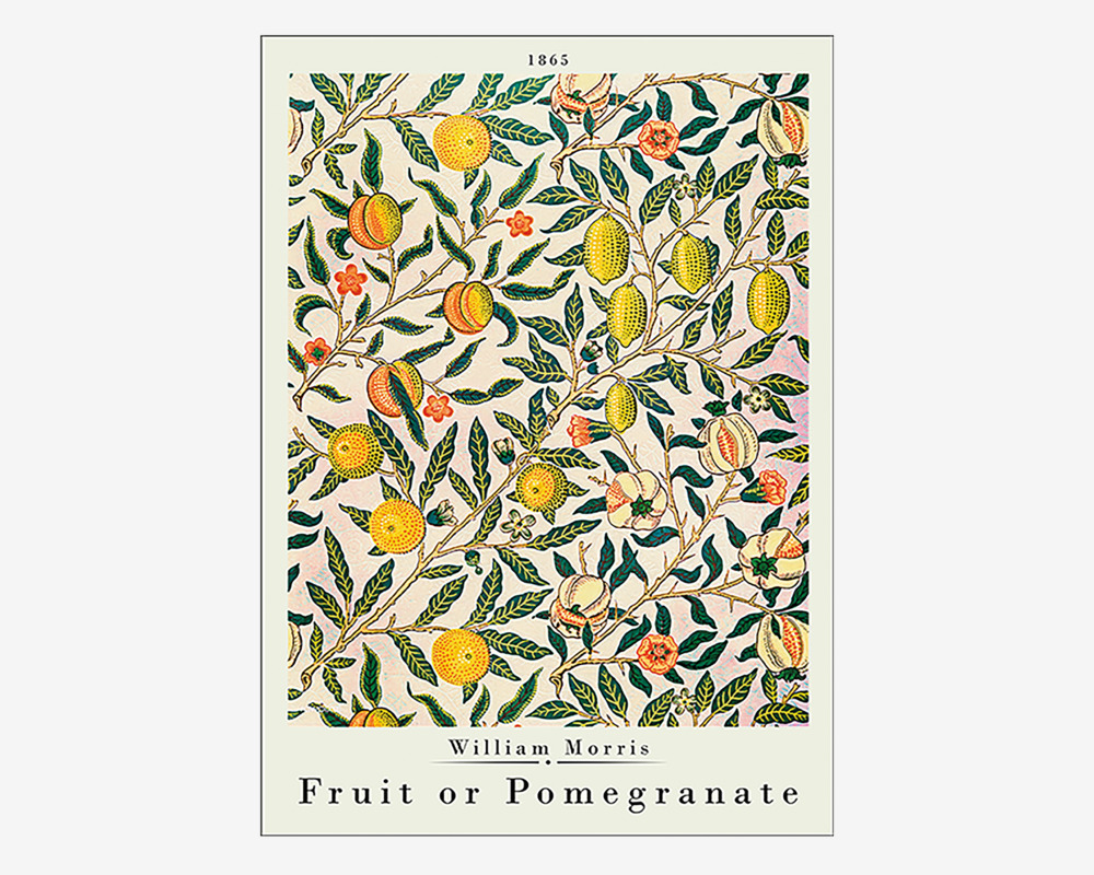 Plakat Fruit Or Pomegranate 