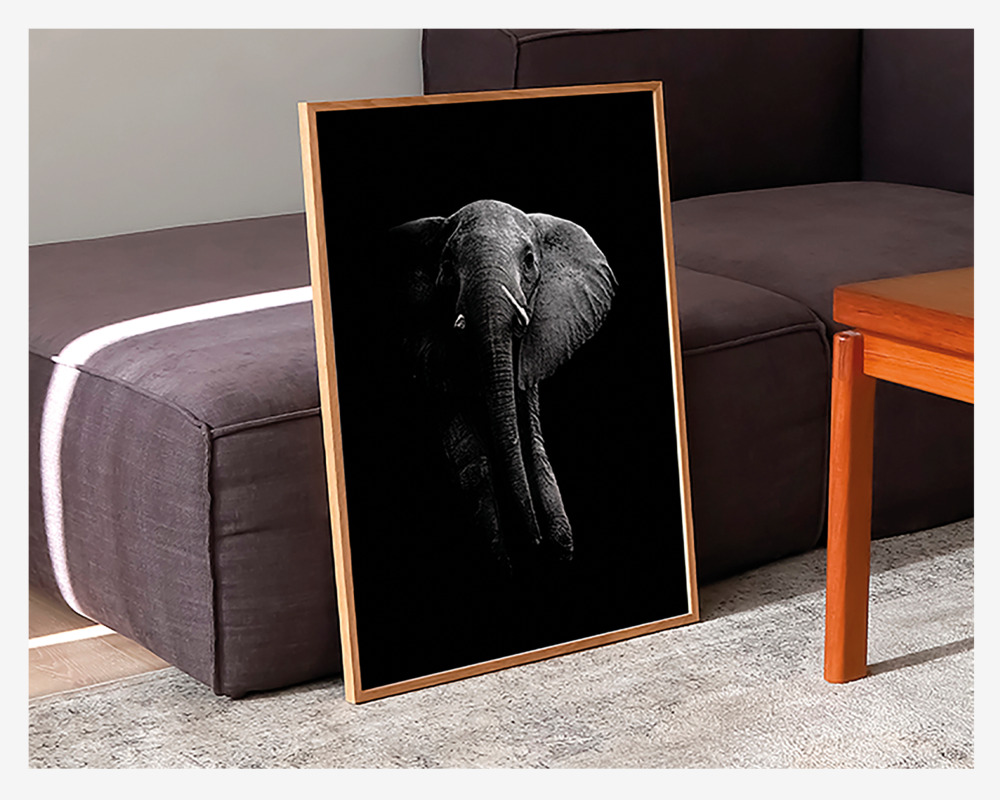 Plakat Elefant 